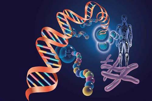 遗传性癫痫能治愈吗